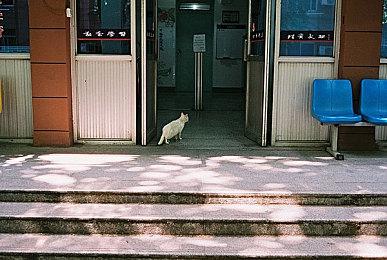 侦探游戏阿加莎之《赫尔克里·波洛：最初的案件》公布