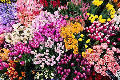 《电锯甜心RePOP》宣布将于2025年推出大型更新